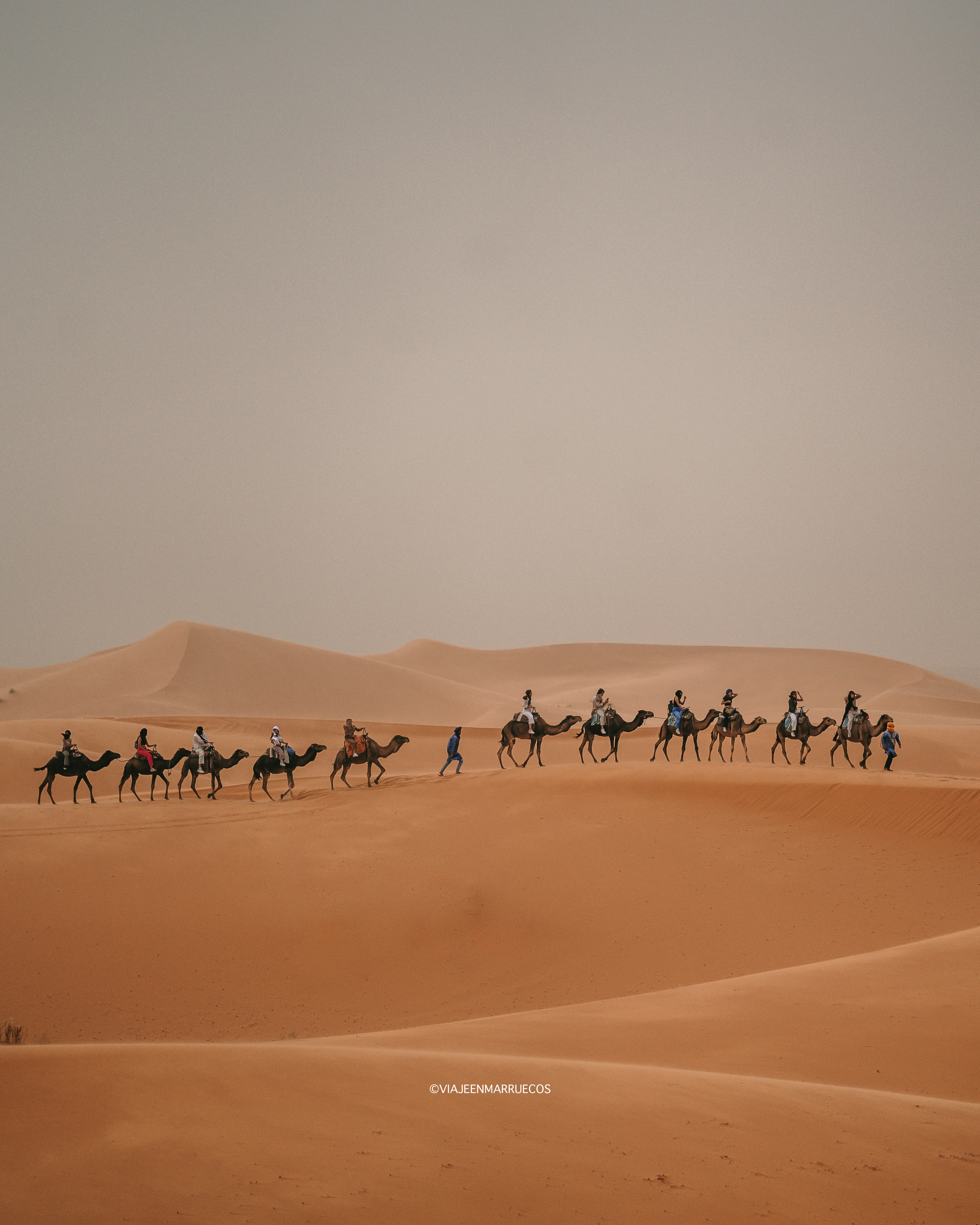 Sahara Desert — Ifrane — Fez — foto 1