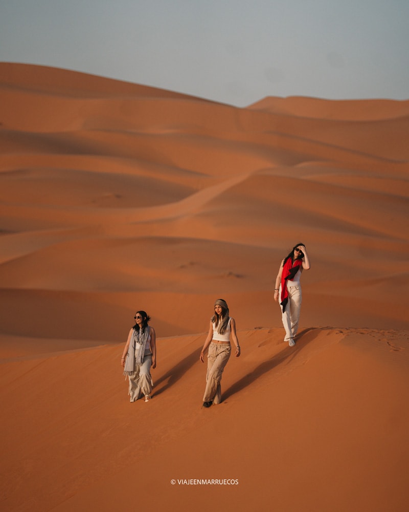 Sahara Experience